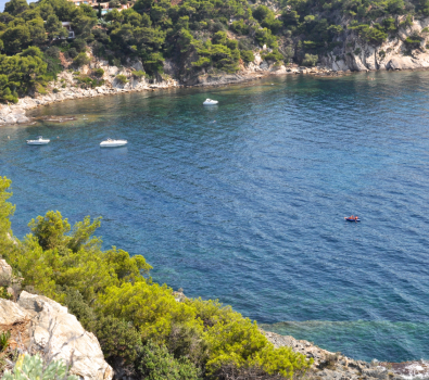 Visite guidée du littoral borméen