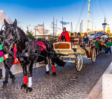 The carriage ride