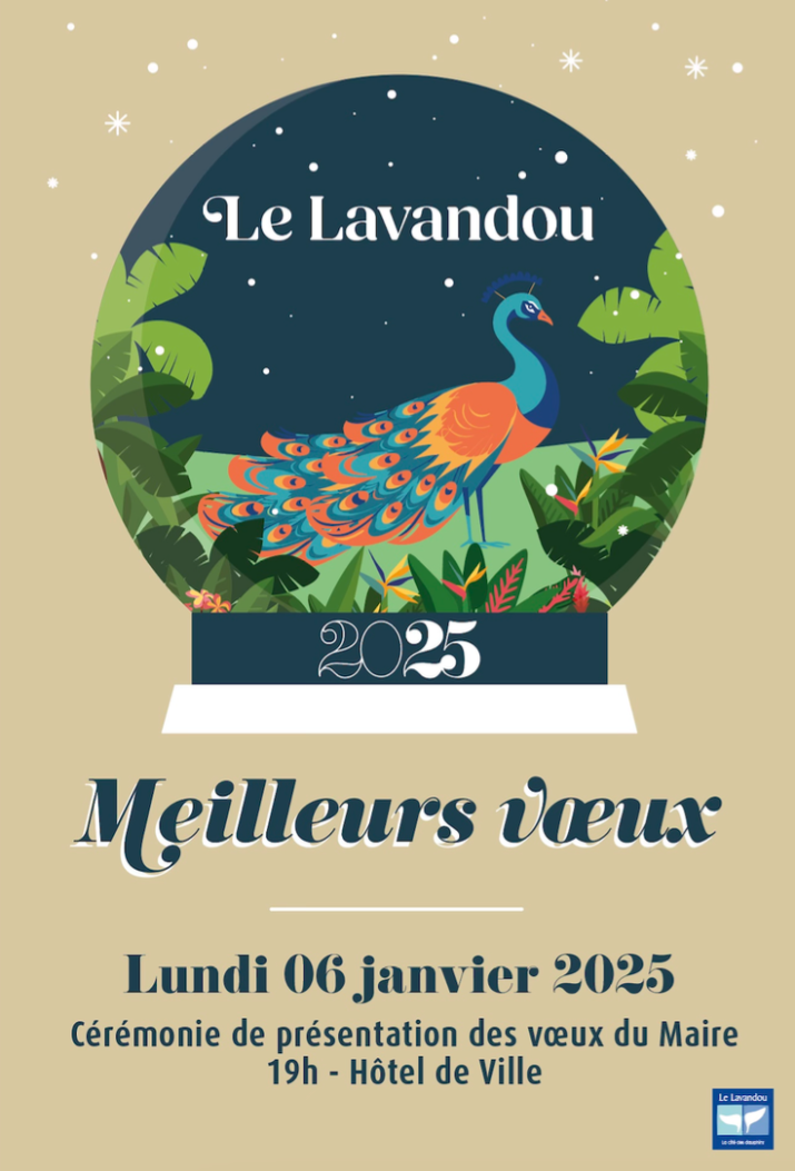 The Mayor’s 2025 wishes ceremony_Le Lavandou