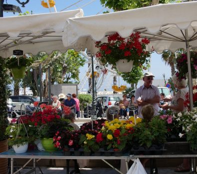 Foire aux plants